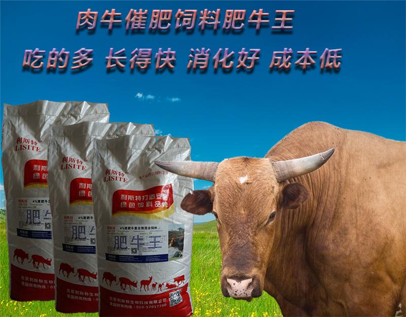 2．肉牛預(yù)混料供應(yīng)商：什么是肉牛預(yù)混料？品牌好